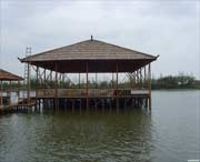 青浦天气预报60天