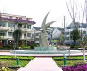 崇明天气预报7天