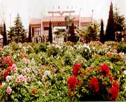 荷泽天气预报60天