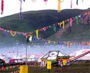 曲麻莱天气预报60天