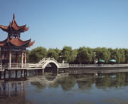 临洮天气预报60天