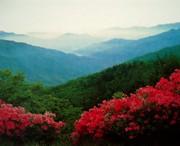 正宁天气预报60天