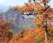 武山天气预报60天