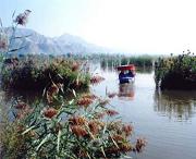 永靖天气预报60天
