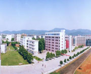 新余天气预报7天