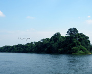 衡南天气预报40天