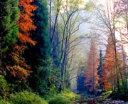 桑植天气预报60天