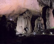 织金天气预报7天