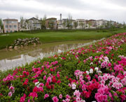 双流天气预报30天