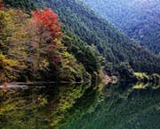 南雄天气预报7天