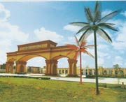 阳江天气预报7天